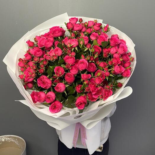 Кустовые розы Sofi