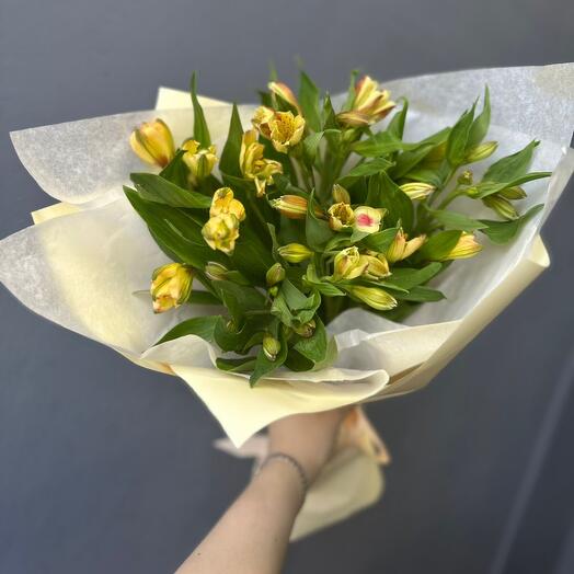 Mono Alstroemeria