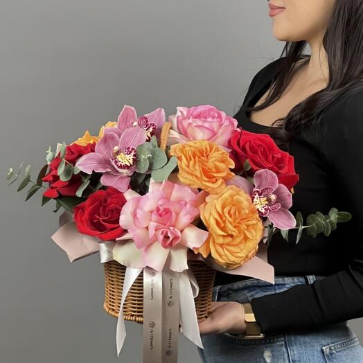 Солнечный привет