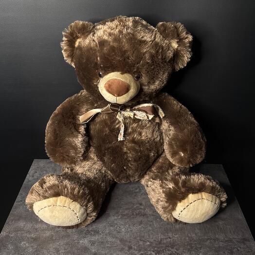 Медведь 🐻