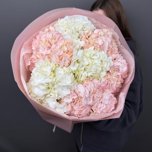 Букет из 7 гортензий