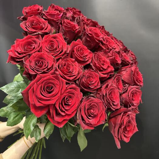 Роза Эквадор Premium (Эксплорер) 35 шт