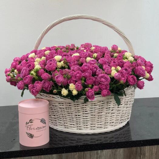 Basket of 151 branches of bushy peony-shaped roses