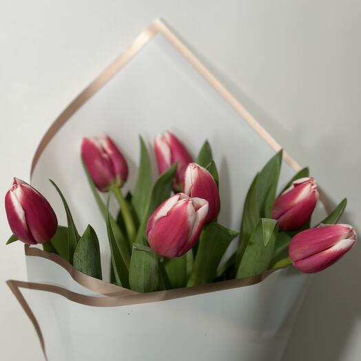 Tulips 7