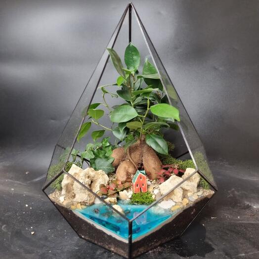 Bonsai in the florarium drop XL