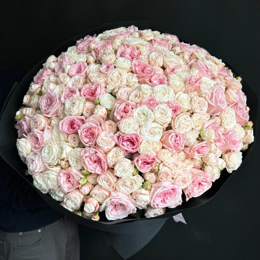 101 - Rózsaszín Bazsarózsa