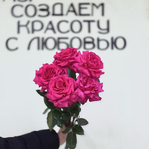 Французские розы 5 штук