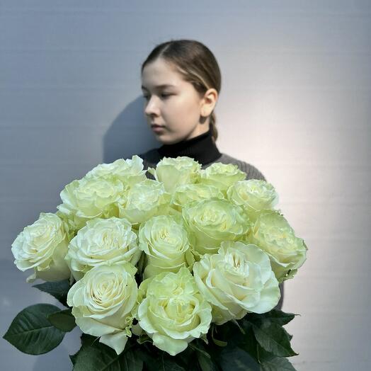Роза Мондиаль 15