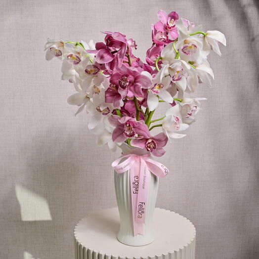 5 Stems of Cymbidium Orchids (Pink and White)  6582