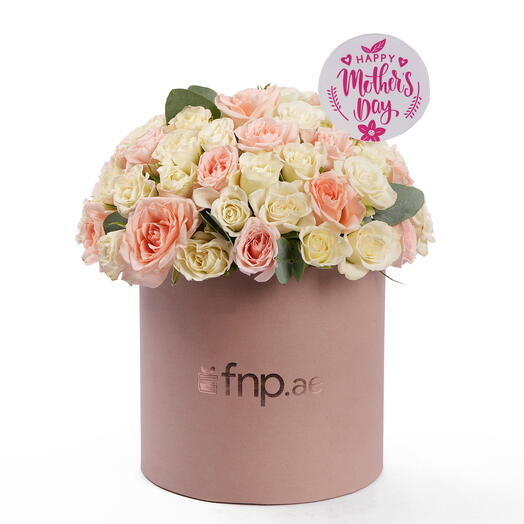 Blush Bloom Delight