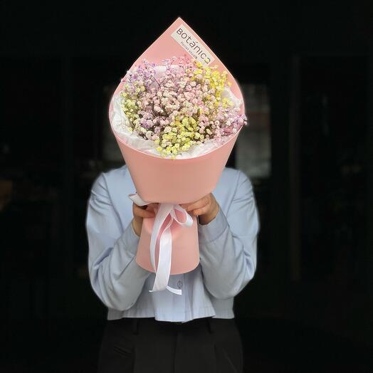 ГИПСОФИЛА В КУЛЬКЕ (XS)