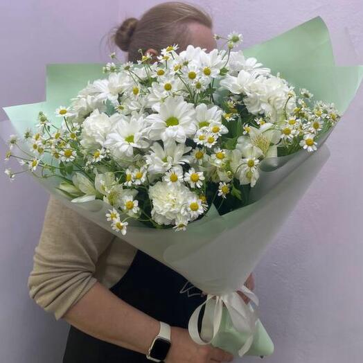 Ромашковое поле