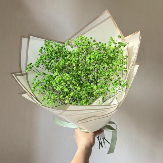 Букет из зеленой стабилизированной гипсофилы