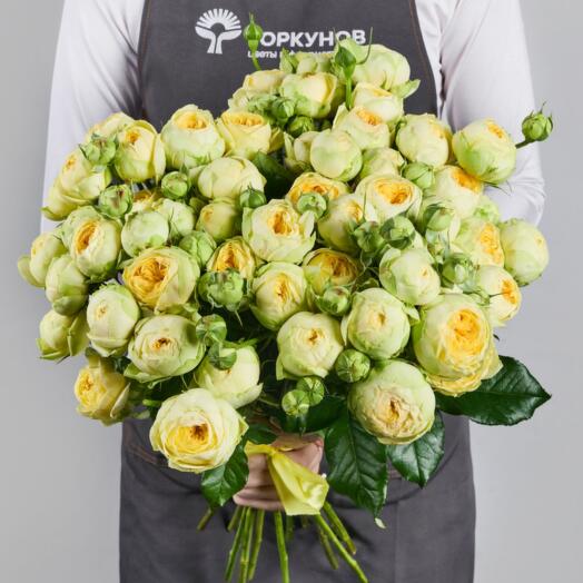 Букет из 15 кустовых лимонных роз Peony Bubbles "Солнечный кокон" под ленту