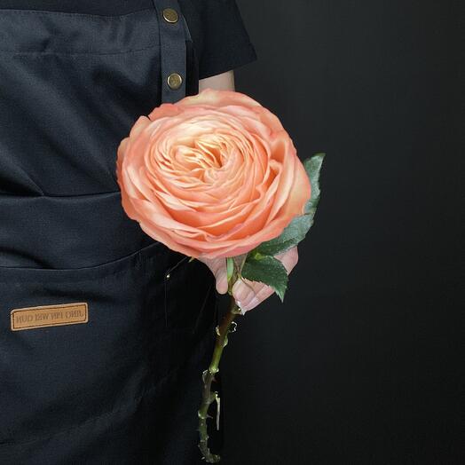 Роза Кахала