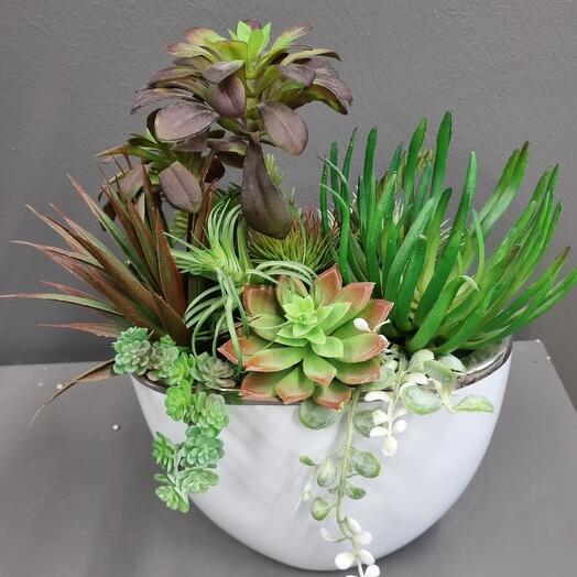 Интерьерная реалистичная композиция из суккулентов