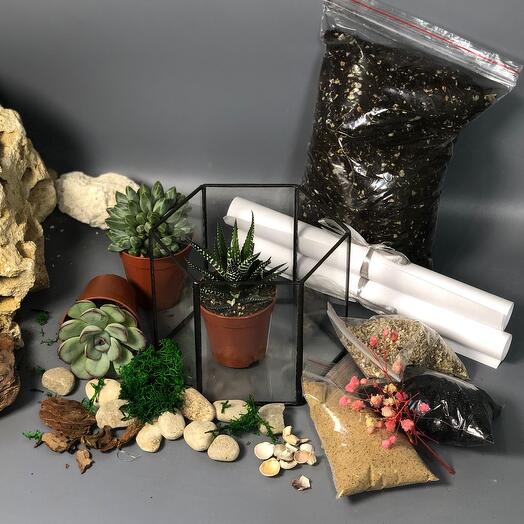 Набор для создания флорариума своими руками с суккулентами