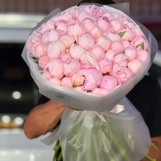 51 пион розовый Голландия