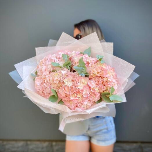 Гортензии розовые Pinky