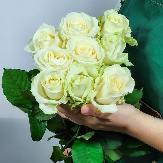 Роза белая 9шт