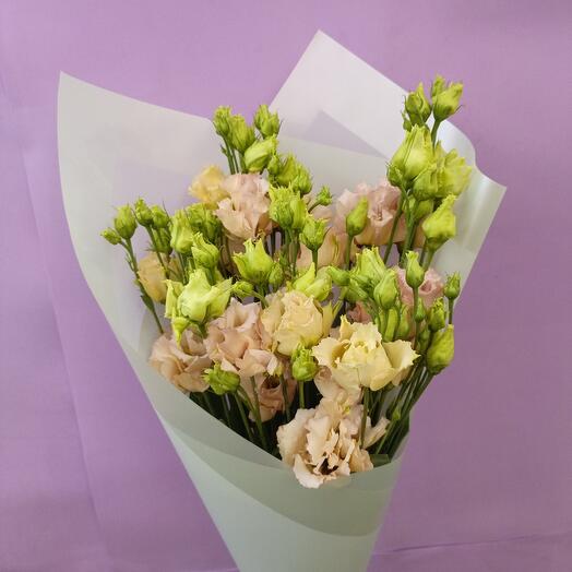 Персиковая махровая эустома 5 шт