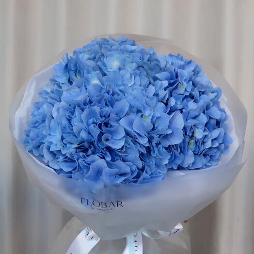 Роскошные гортензии