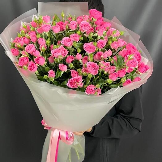 Кустовые розы Софи