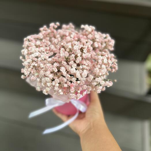 Цветы в коробке гипсофила