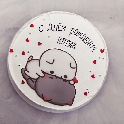 Котику в день рождения