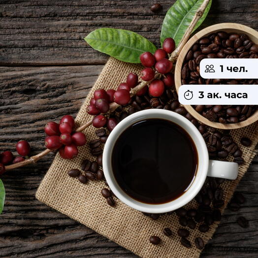 Кофейная грамота. Урок приготовления кофе