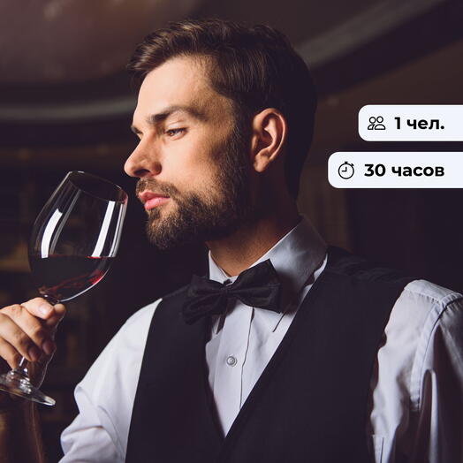 Начинающий сомелье. Курс обучения в винной школе
