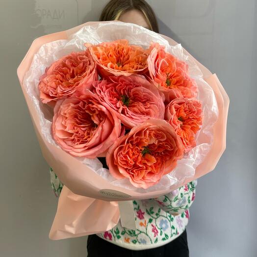 Коралловые пионовидные розы