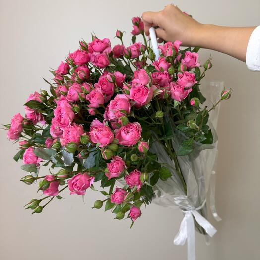 Софи зонтик