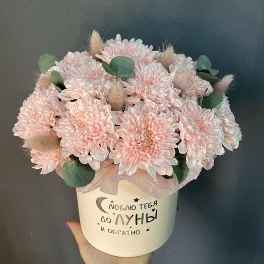 Хризантема розовая в боксе