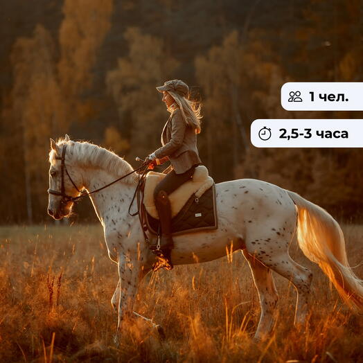С видом на горы.  Конная экскурсия