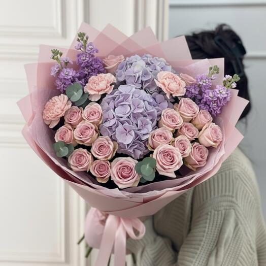 Soft Purplee
