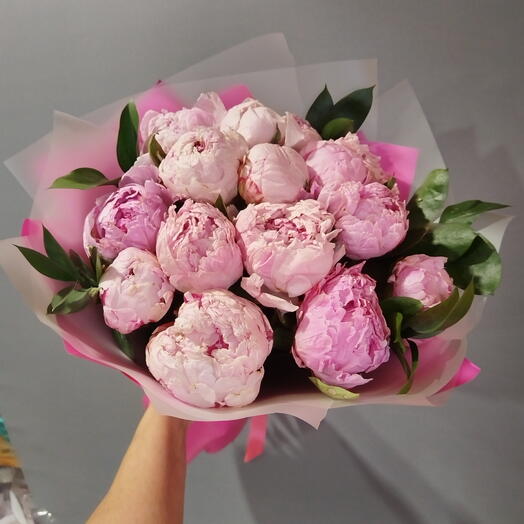 Пионы розовые с рускусом (15 шт)