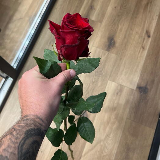Шикарная красная Роза Эквадор ️🌹