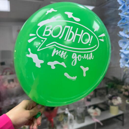 Шар гелевый «Вольно,ты дома»