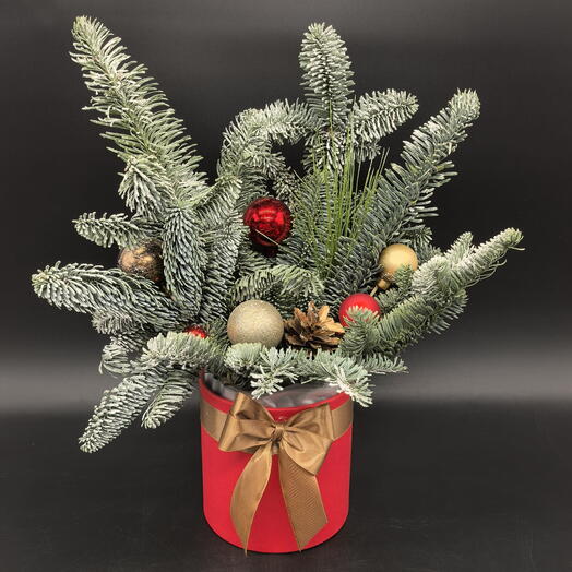 Новогодняя композиция из нобилиса в шляпной коробке "Красное и Золото"