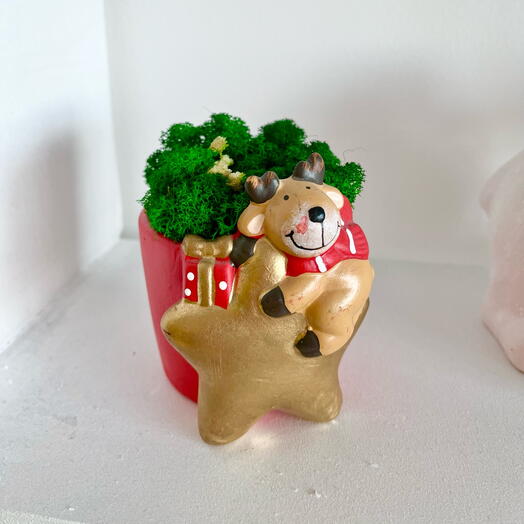 Новогоднее кашпо со мхом в подарок