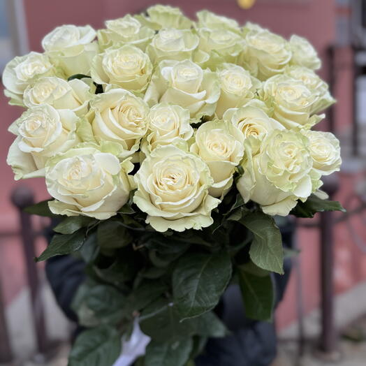 25 Эквадорских роз Мондиаль
