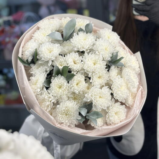 Хризантема кустовая Камилла
