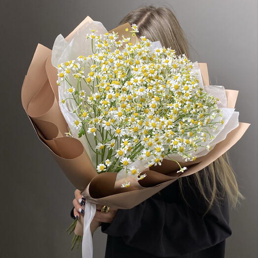 Букет М Ромашечки» 15 ромашек матрикария