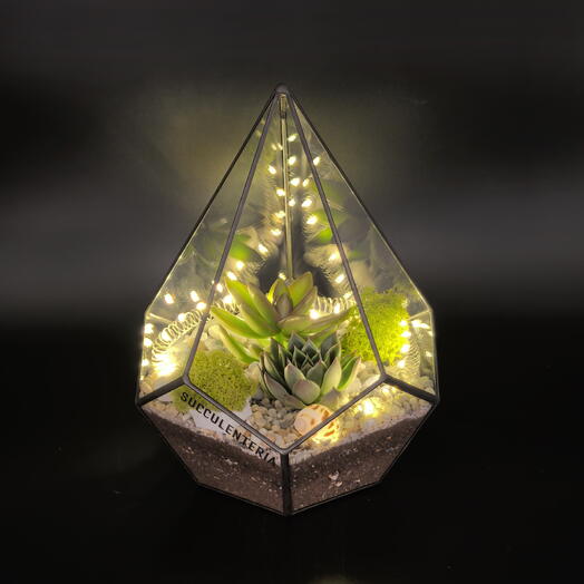 Флорариум с суккулентами и гирляндой "Золотой сувенир" 30020S