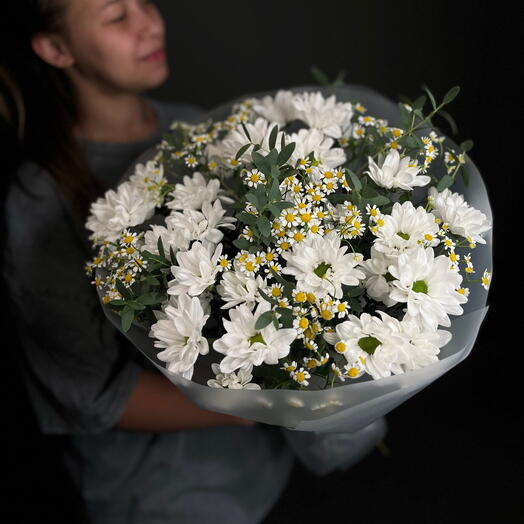 Прованс