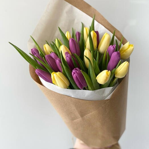 Солнечная гармония