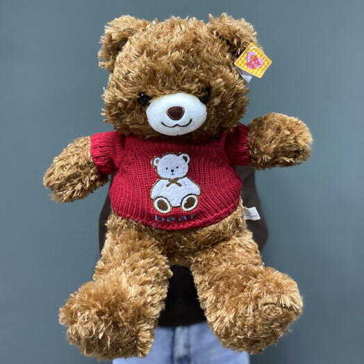 Коричневый мишка в свитере 🧸