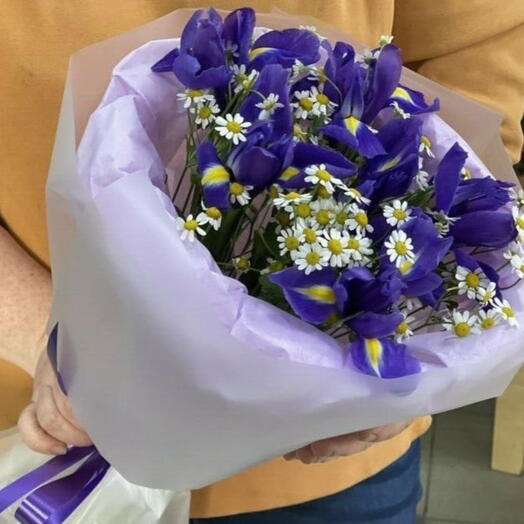 Летнее Поле