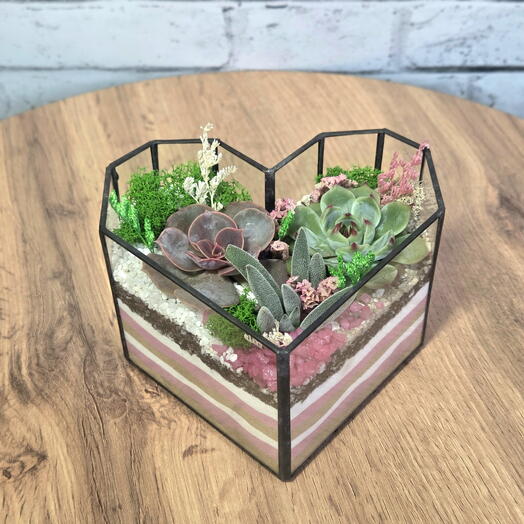 Флорариум с суккулентами "Сердце"
